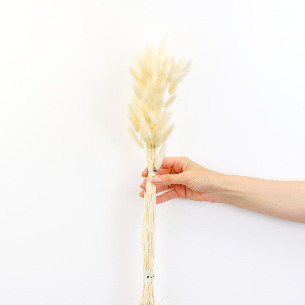 Natural Dried Bunny Tails Bunch
