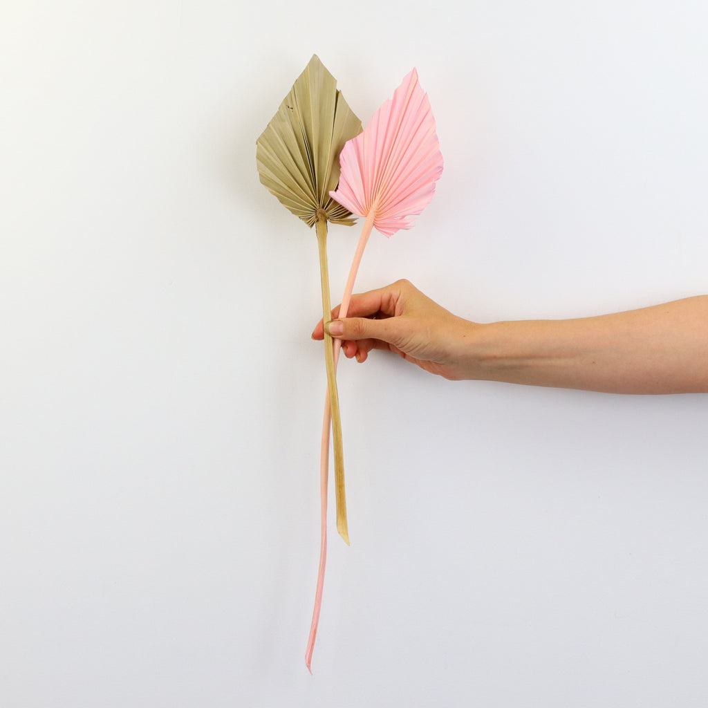 Dried Palm Spears Preserved Bouquet