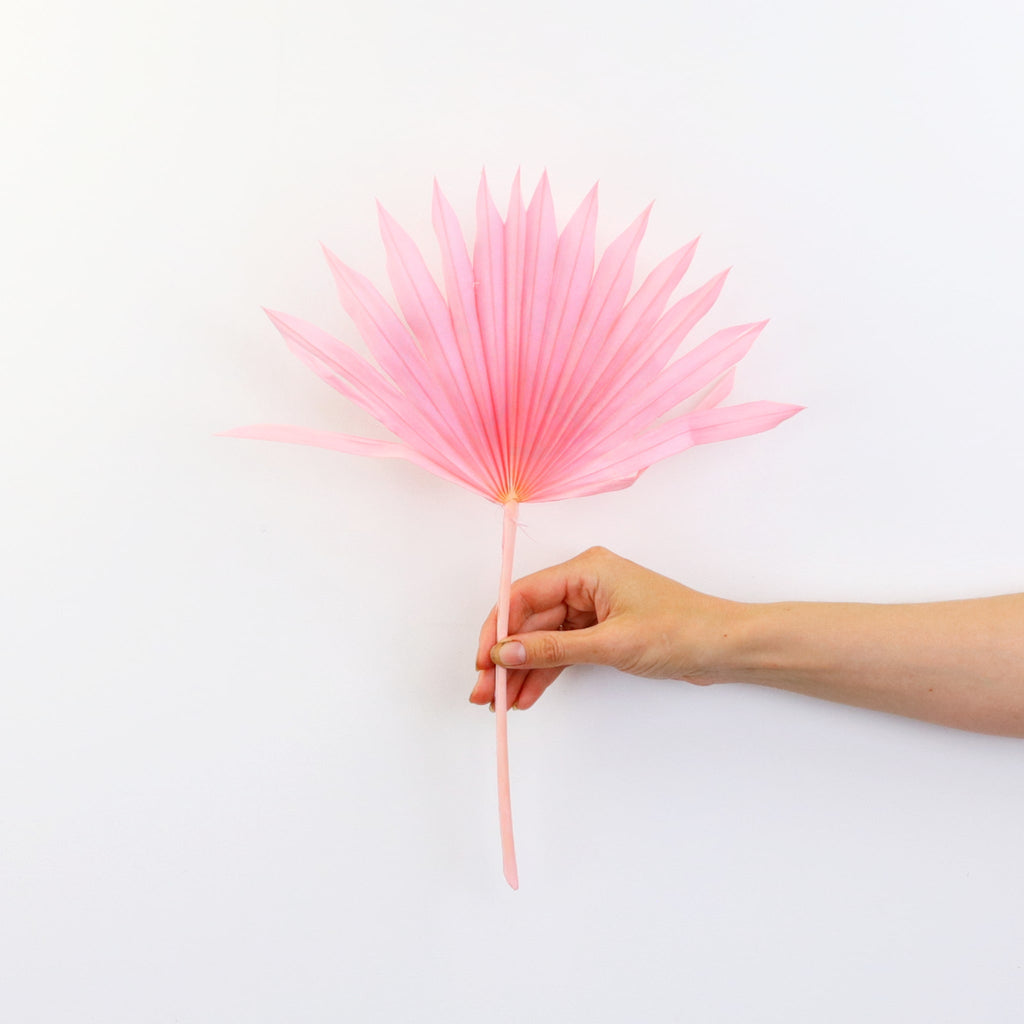 Dried Sun Cut Palm Bunch Pink
