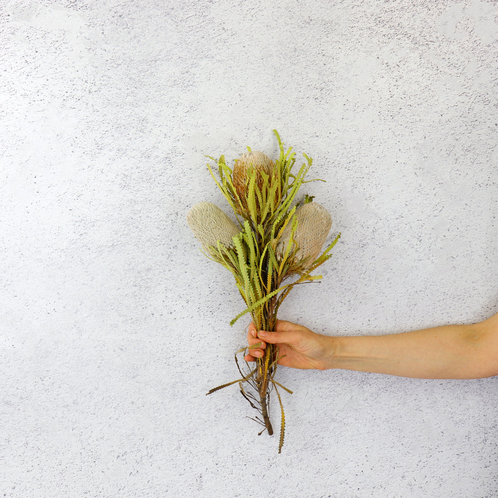 Dried Banksia Preserved Bouquet