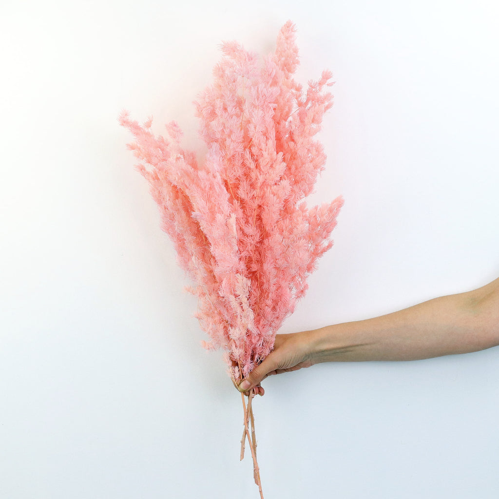 Preserved Ming Fern Bouquet | DIY Dried Flower Bouquet