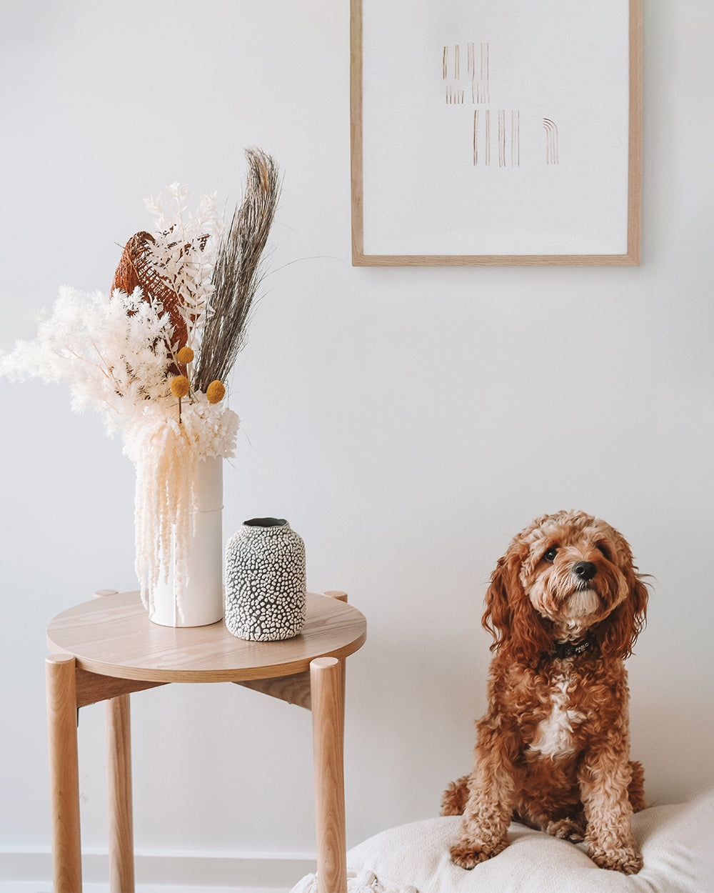 Home decorated with dried flowers and puppy doll
