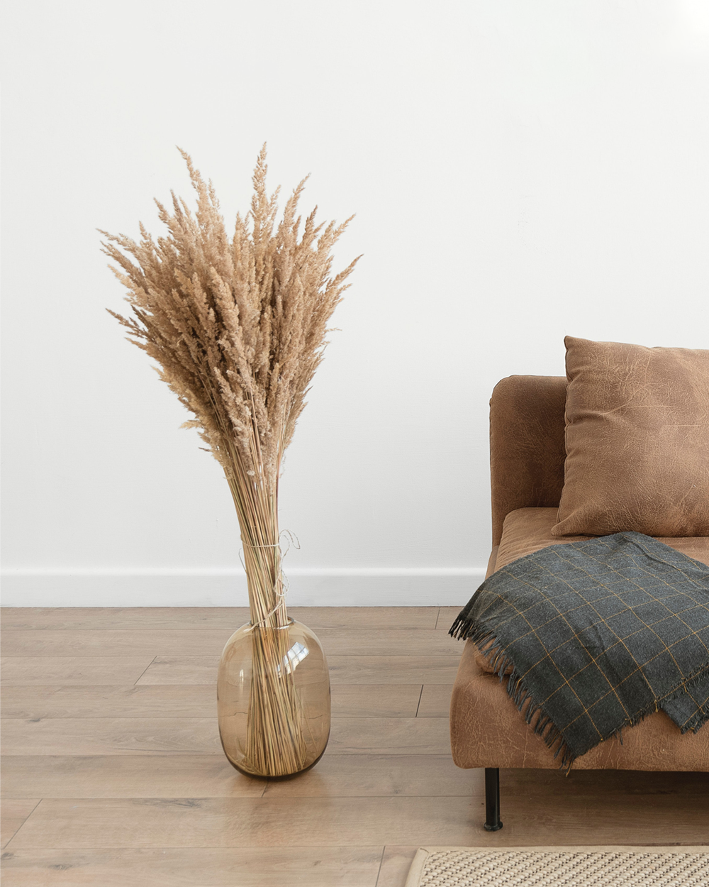 Pampas Grass is the hottest home decor trend of 2021