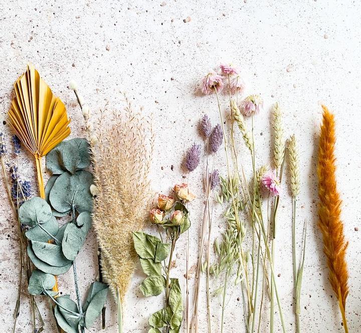 The Ultimate Guide to Dried Flowers - Flowers Across Australia