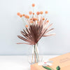 Peachy Keen DIY Kit | Dried Flower Bouquets