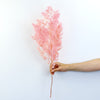 Dried Ming Fern Pink | Dried Flowers Australia | Preserved Bouquet