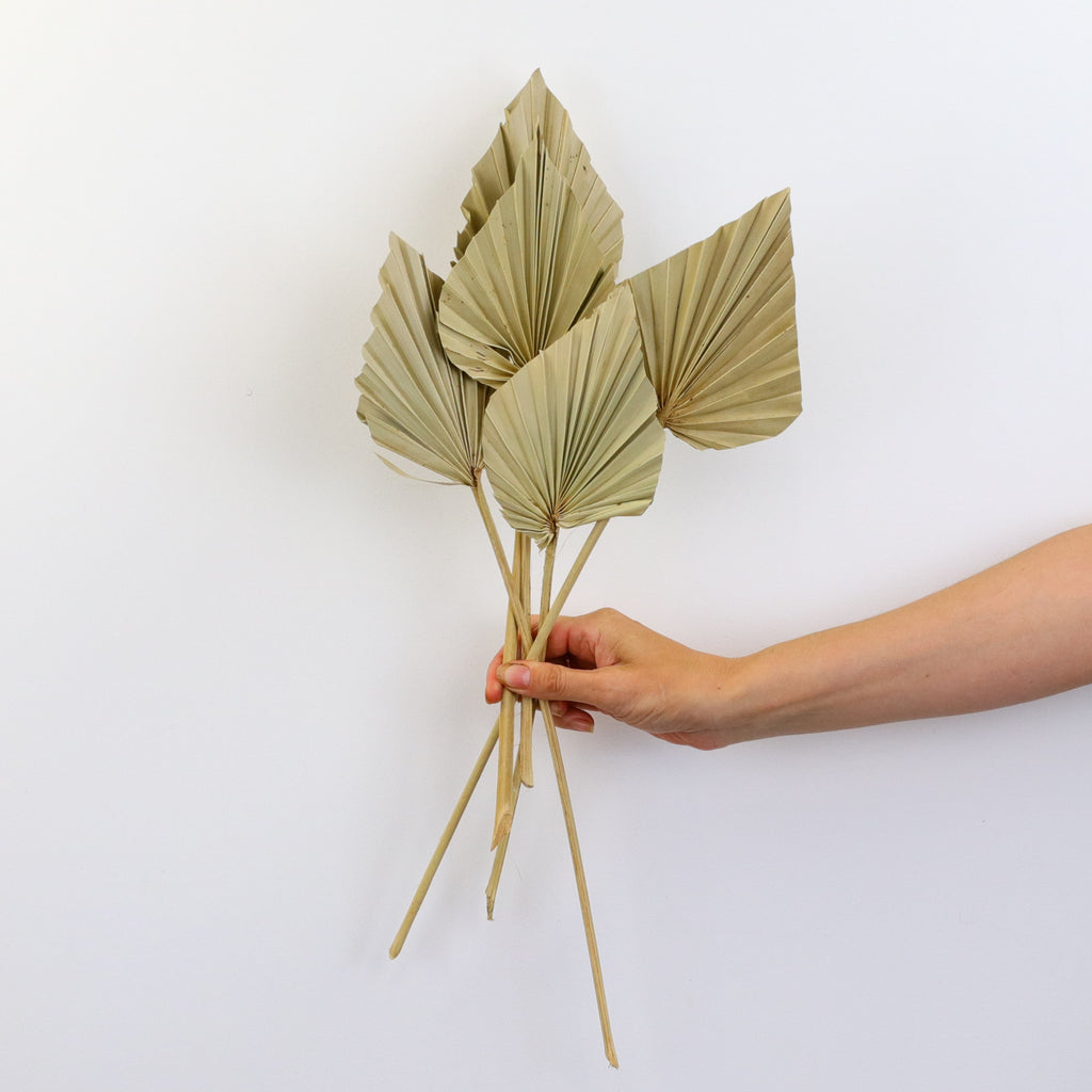 Dried Palm Spears Preserved Bouquet