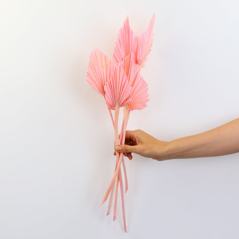 Dried Palm Spears Pink Bunch